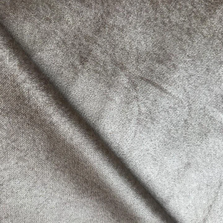 Camussa